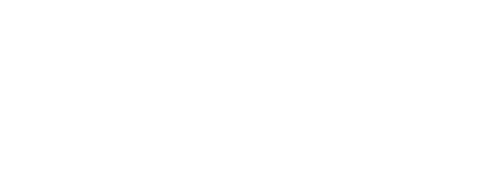 Branding for YL ventures - Branding for startups